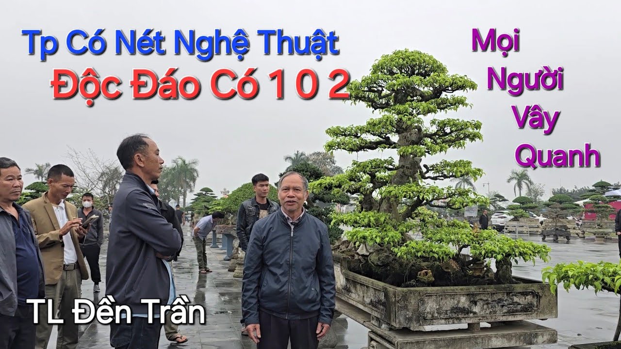 XUẤT HIỆN ĐÔI SANH NĐ DÁNG LẠ CÓ 1 0 2 * RẤT ĐẸP * tại triển lãm ĐỀN TRẦN NAM ĐỊNH 2026 .