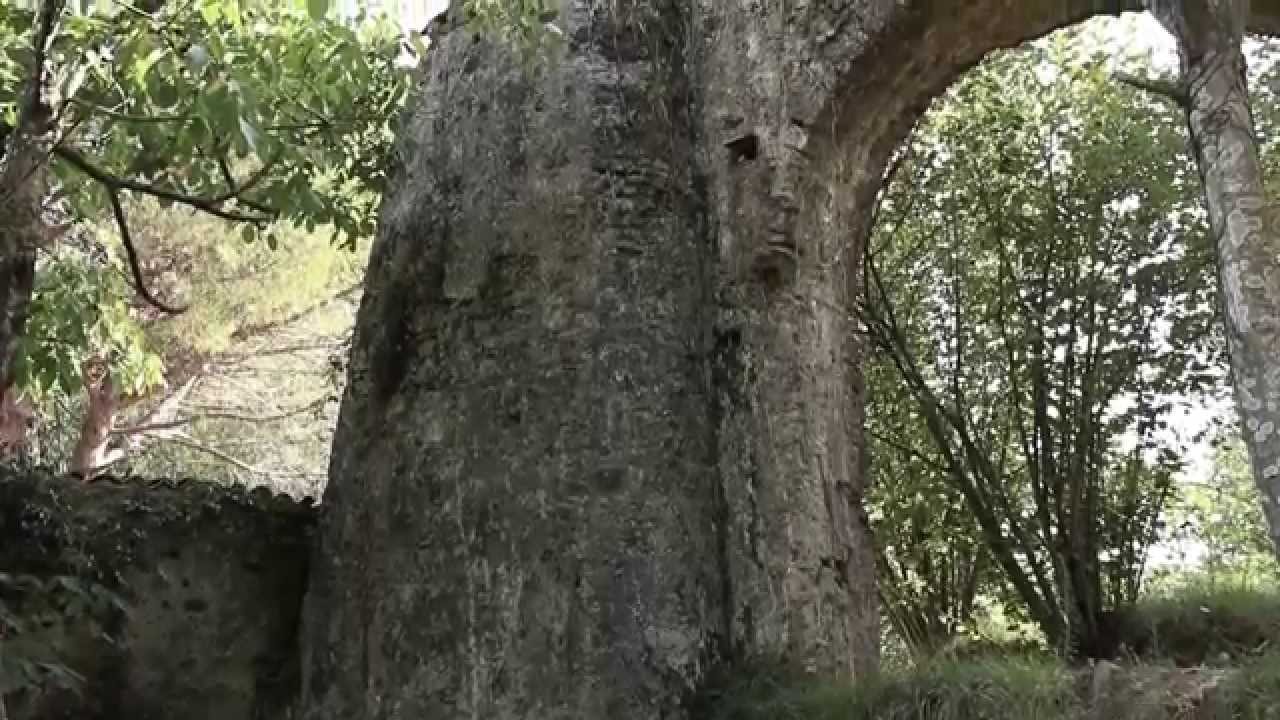 Castelmonardo......l'antico mulino