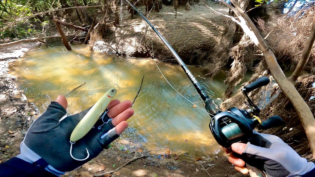 Este Río es un PARAÍSO para Pescar en Sudamérica!