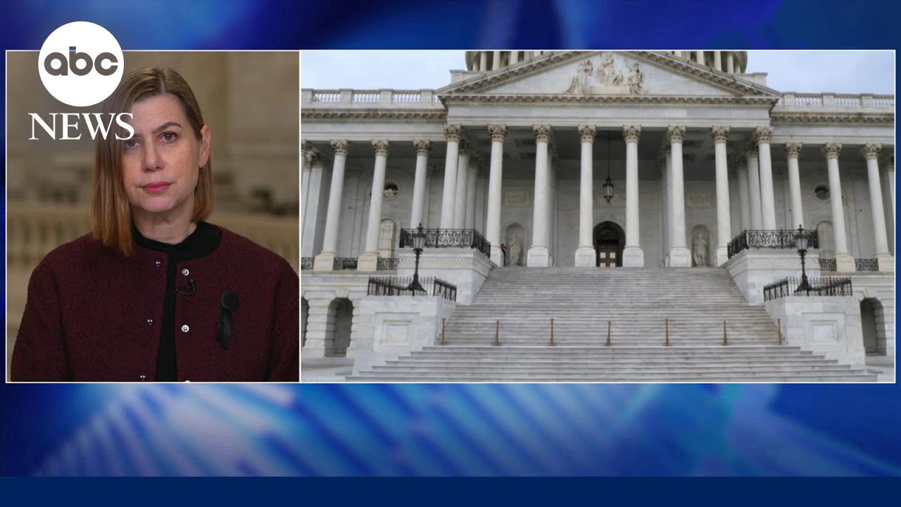 Sen. Slotkin on DHS Secretary Kristi Noem: 'The president should fire her'