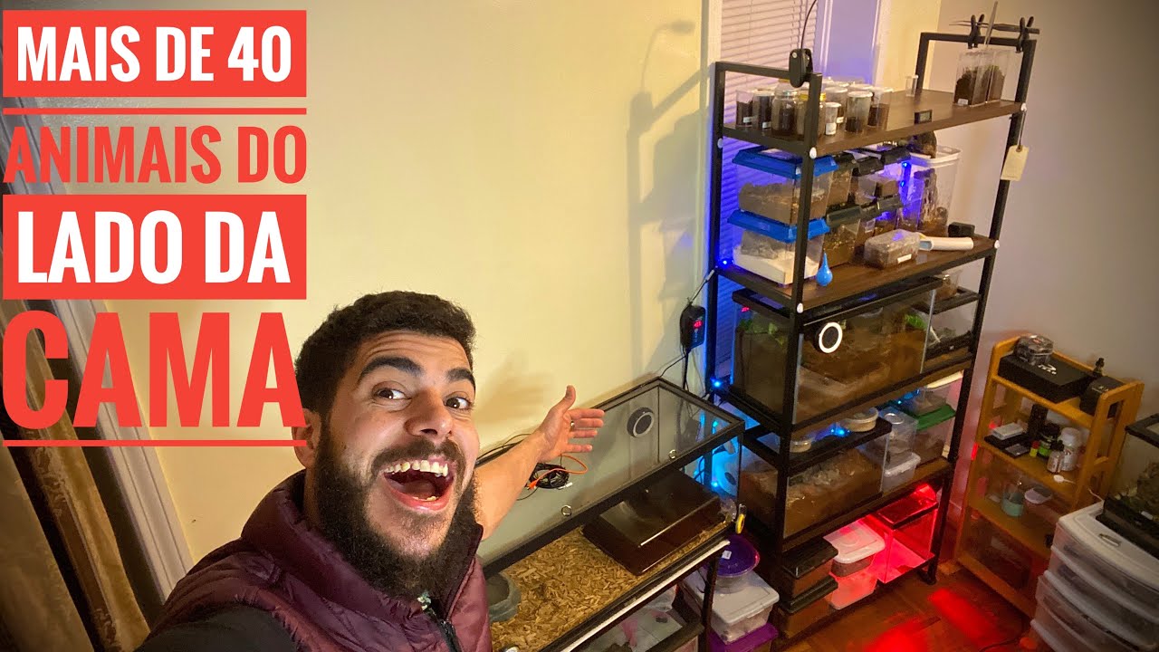 Tour Quarto Exótico, todos os ANIMAIS