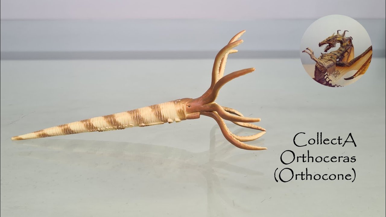 #78 CollectA Orthoceras (Orthocone) Review