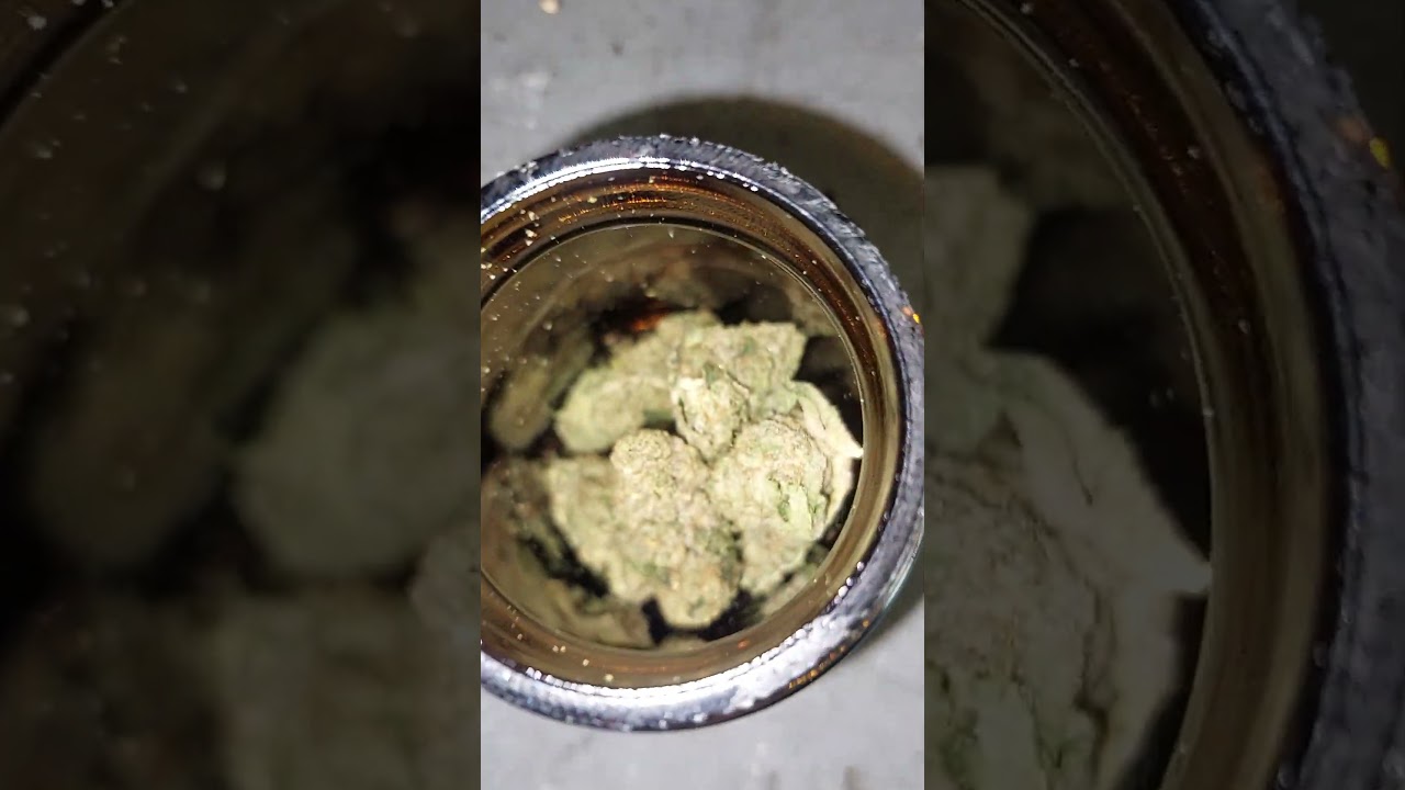 THUNDER SLOTH SEED AND STRAIN