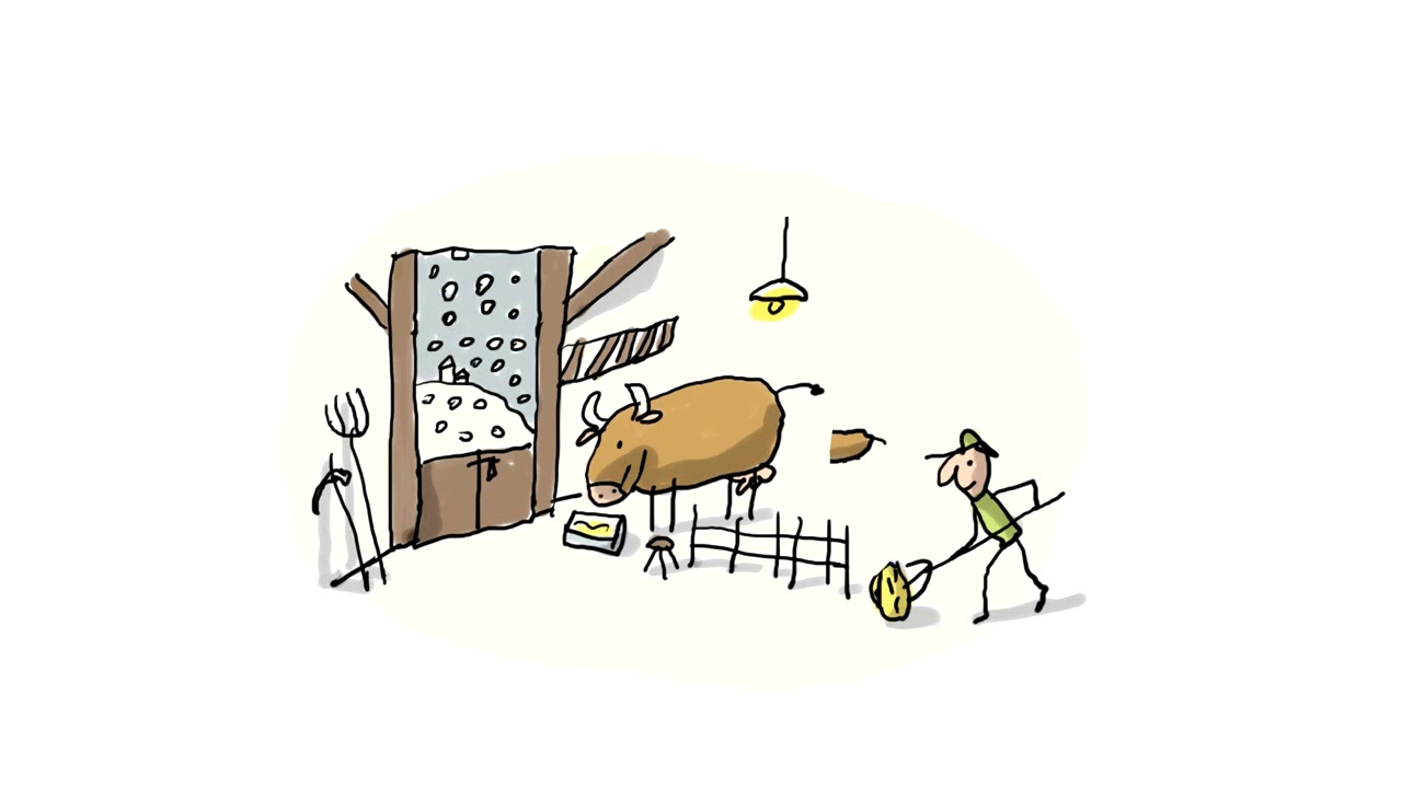 Question d'enfant : d'où vient la viande ?