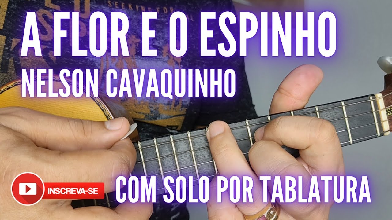 A flor e o espinho | Michel do Cavaco