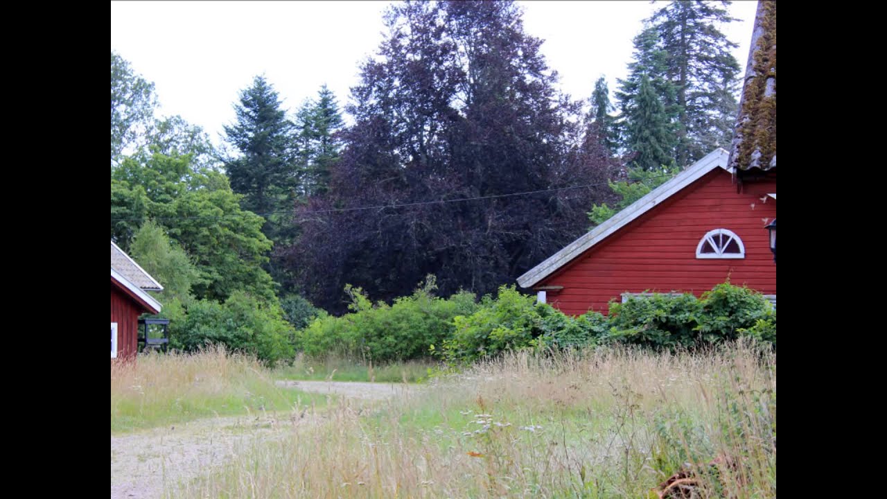 Kyrkeby G&aring;rd & Br&auml;nneri fr&aring;n utsidan 23 Juli 2014
