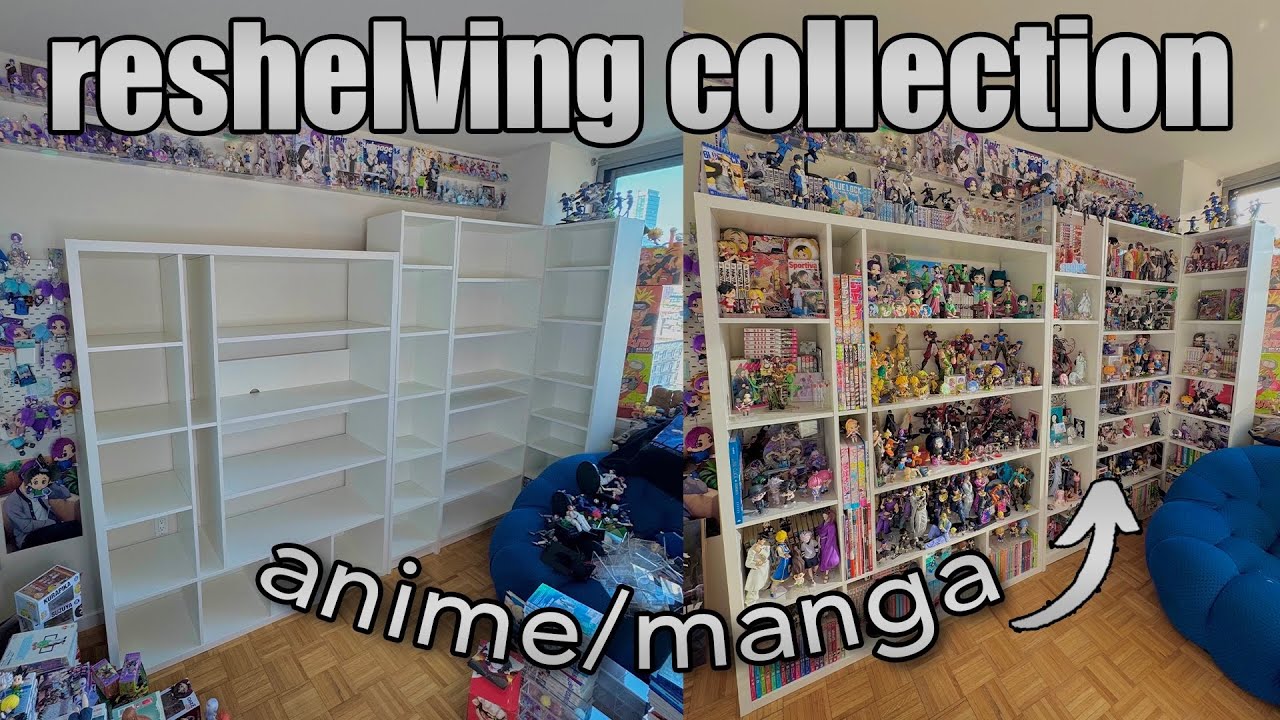 reshelving my entire anime/manga collection 