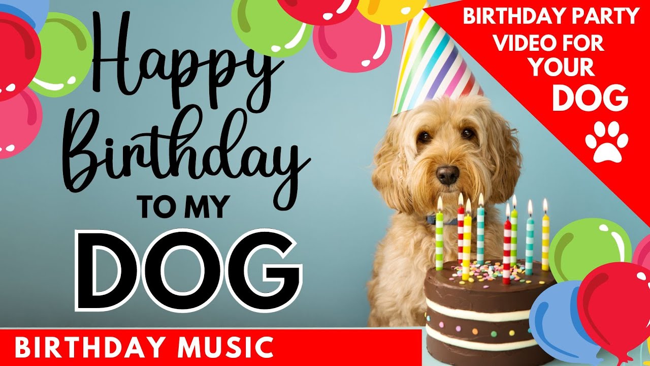 : Dog Birthday Party Video - Birthday Music For Your Dogs - Birthday Celebration