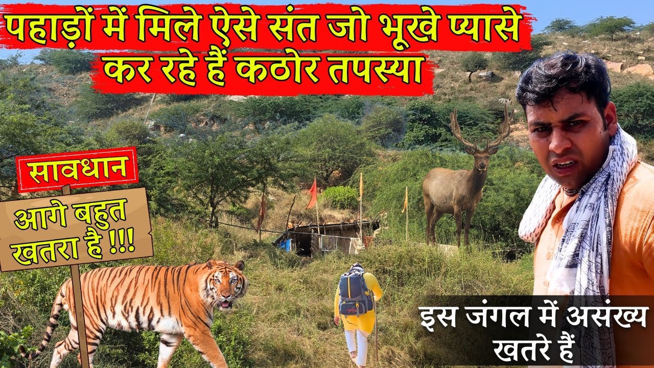 जंगली जड़ी बूटी और हवा के आहार पर तपस्या करने वाले दुर्लभ संत.. @BrajVihar #santdarshan #santseva