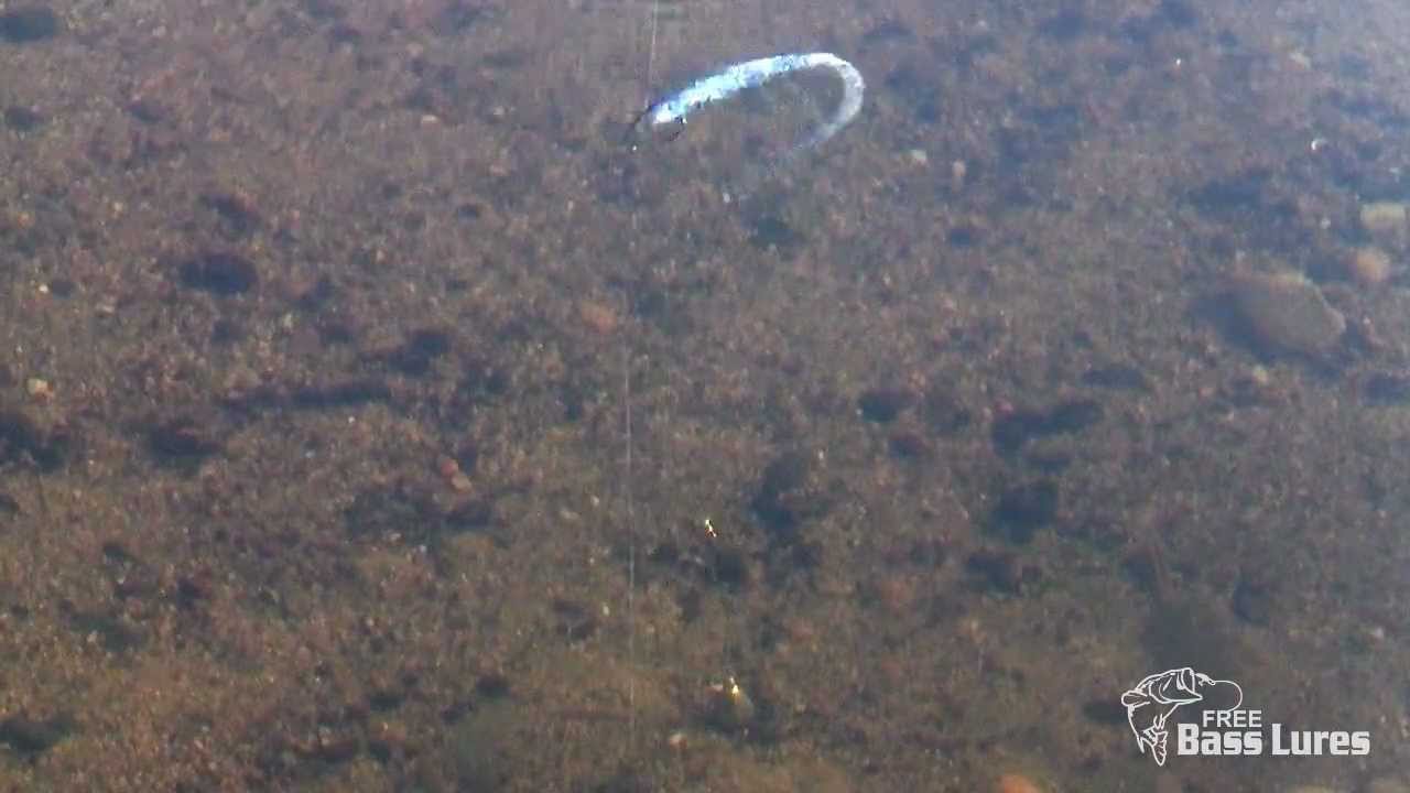 Free Bass Lures (Secret Weapon's Recoil Rig)