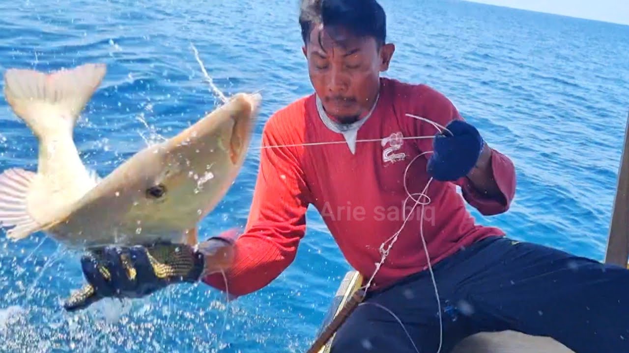 MANCING IKAN BESAR|| UNTUNG IKAN INI NGAMUK JATUHNYA KEDALAM PERAHU