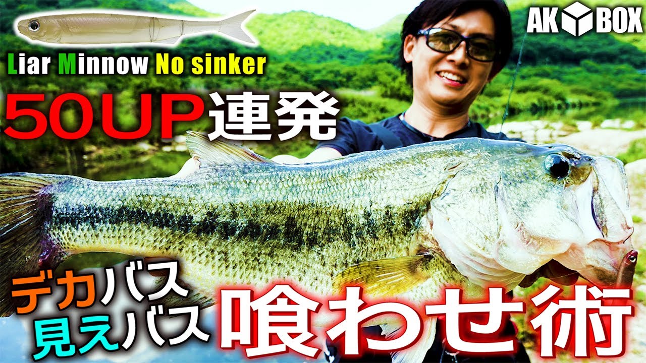 【AK◆BOX】50UP連発！『ライアミノー』デカバスを確実に喰わす術【バス釣り】