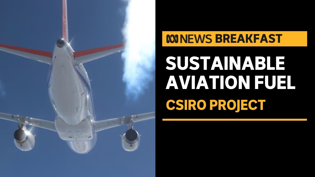 Sustainable aviation fuel could decarbonise the airline industry | ABC News