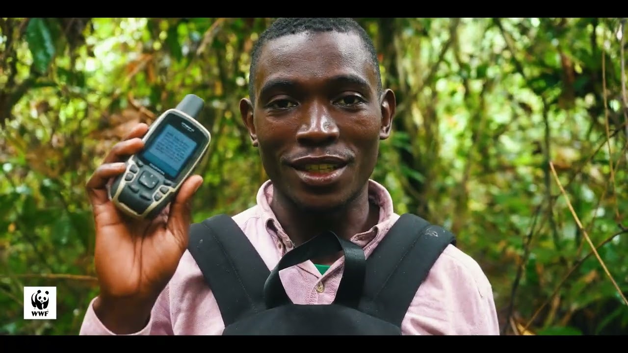 CIBEL: Inventaire multi ressources- Forêts communautaires d'Ebyeng,Massaha,Nzé Vatican, Ebyeng Edzua