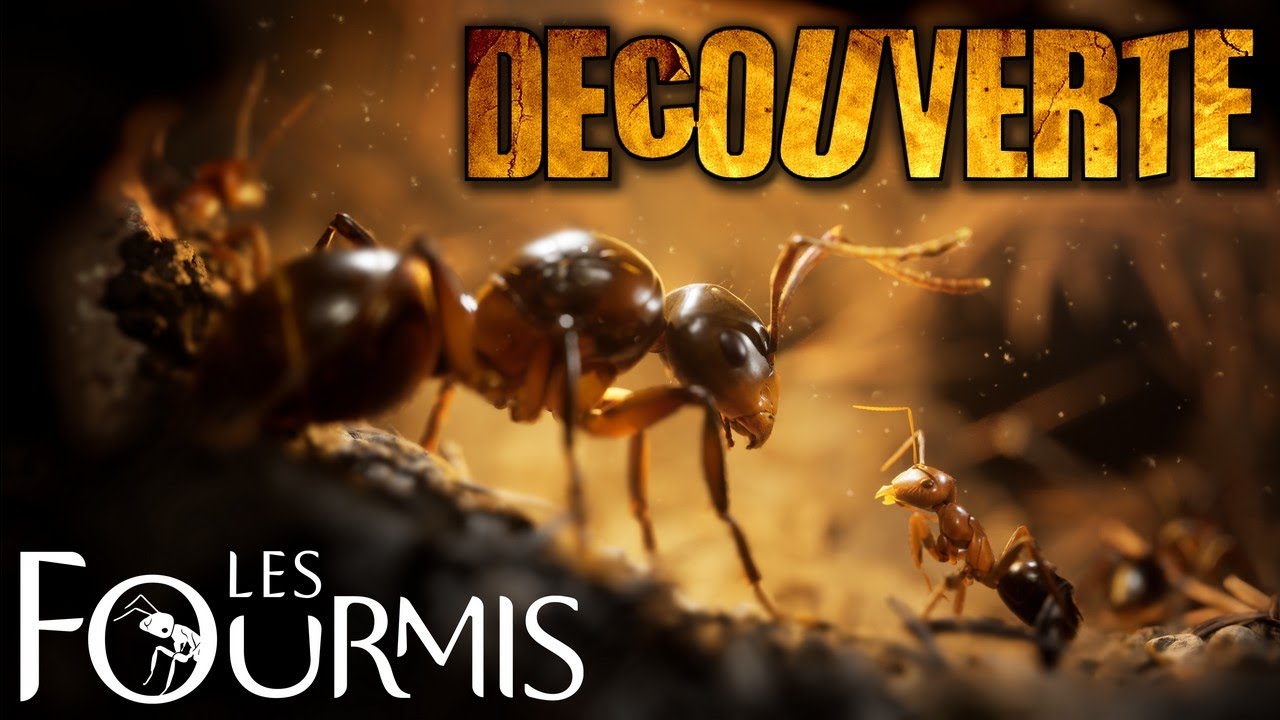 Les fourmis (C’est Trop Bien !!) | Découverte Gameplay FR