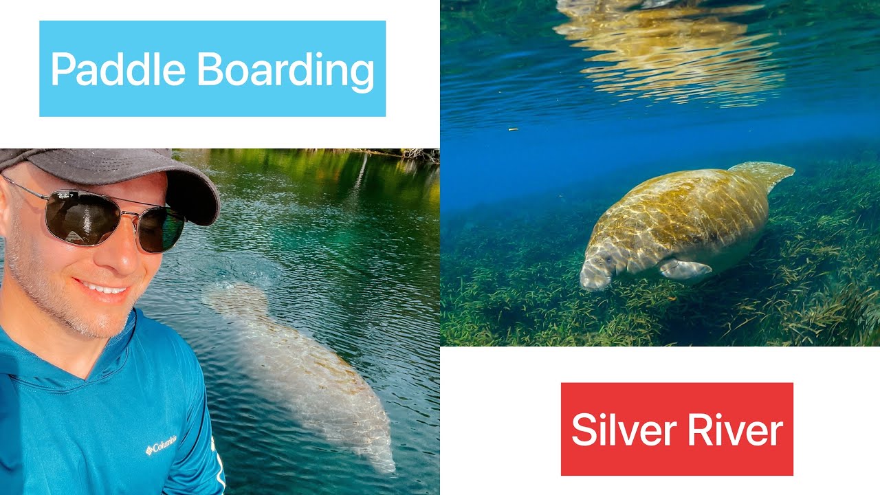 Paddleboarding Silver Springs & Silver River | Florida #silversprings #paddleboard