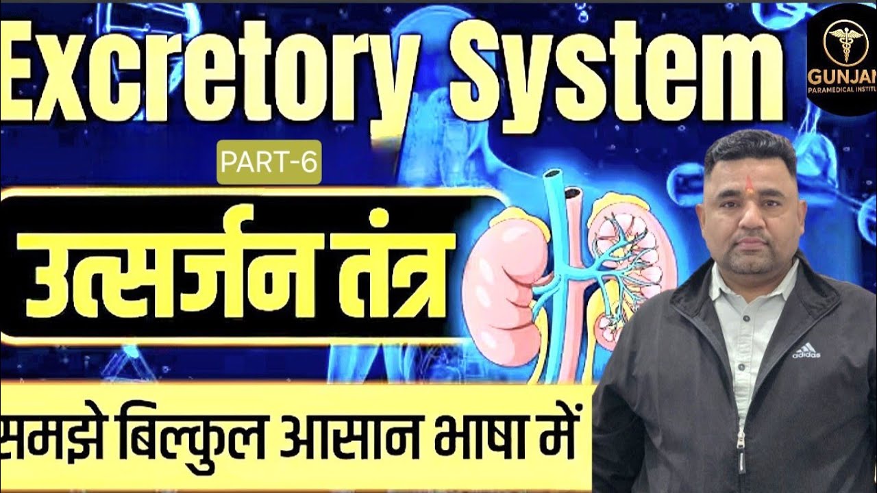 Excretory System Part 6