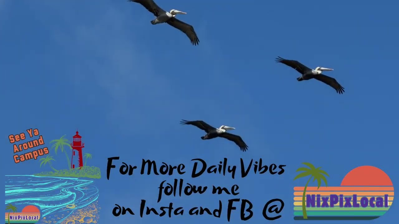 Daily Jupiter Beach Vibes ASMR 3/14/26