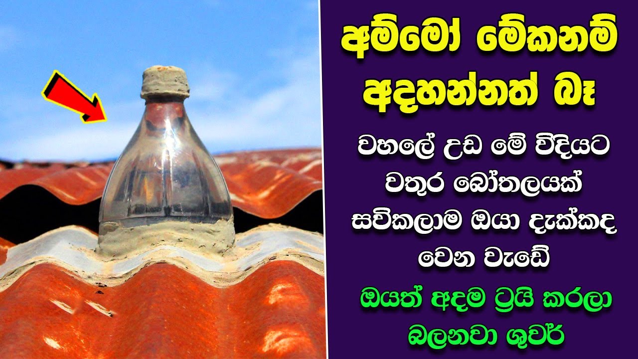 ඔබ මේවා දකින්නේ ජිවිතේ පළමු වතාවට EP:370