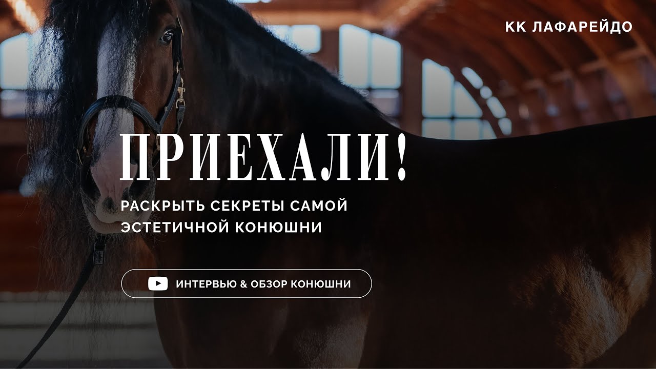 Приехали! В конном клубе Лафарейдо  🐴
