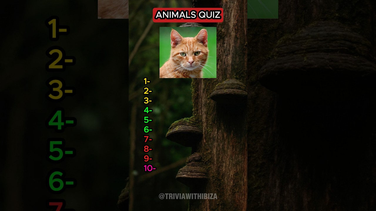 Можете ли вы назвать этих животных по картинке? #животное #природа #викторина #животные