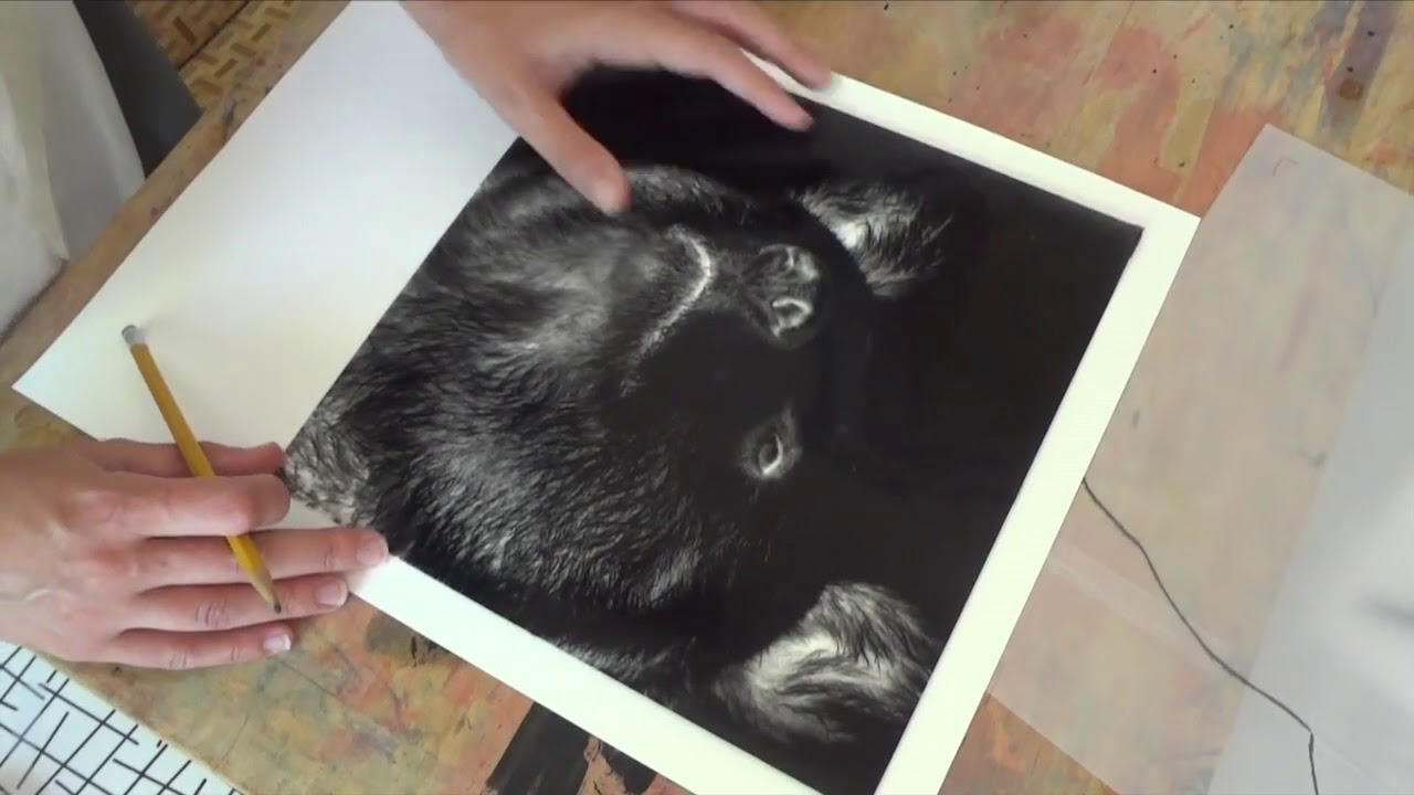 Jacquard Solar Fast Dyes on Paper