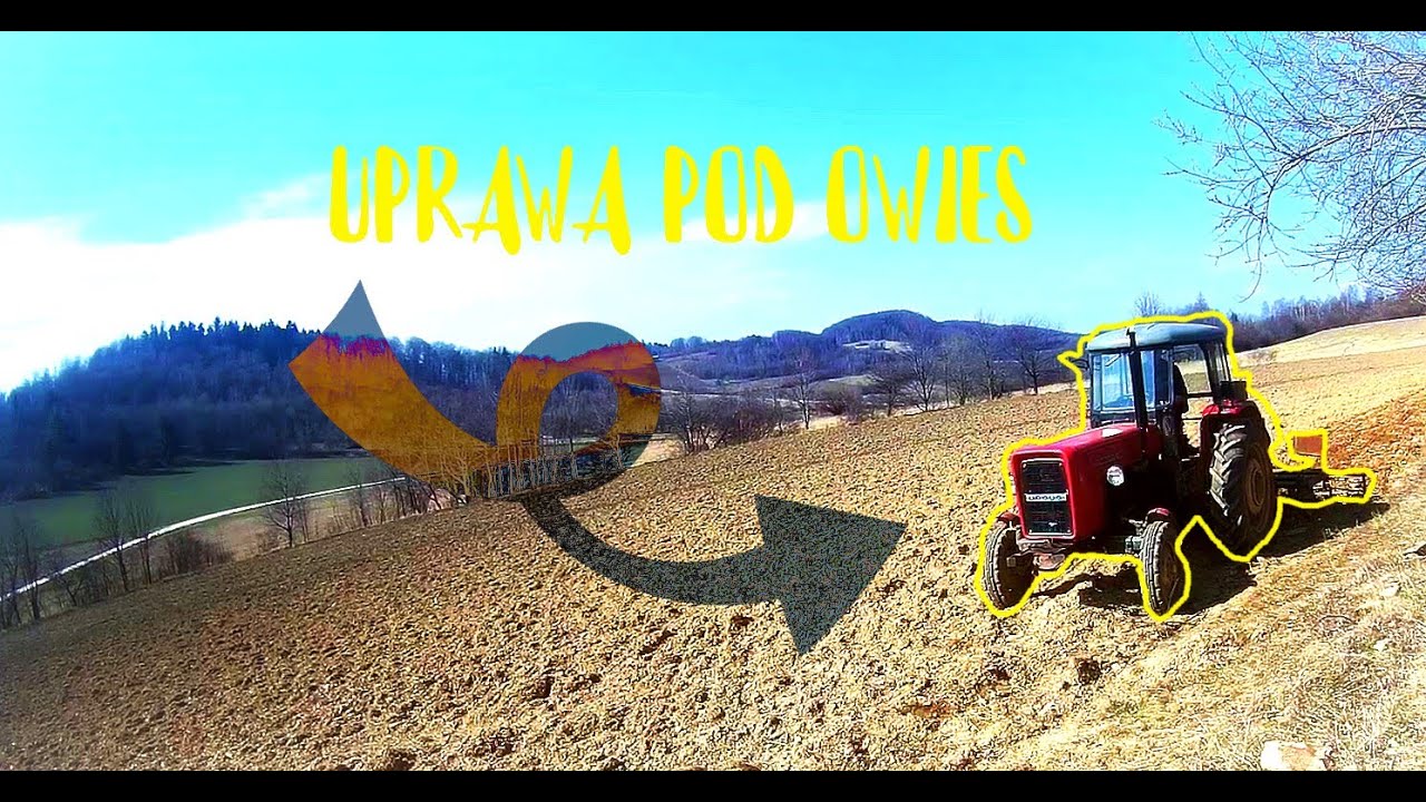 Uprawa pod Owies URSUS C-360
