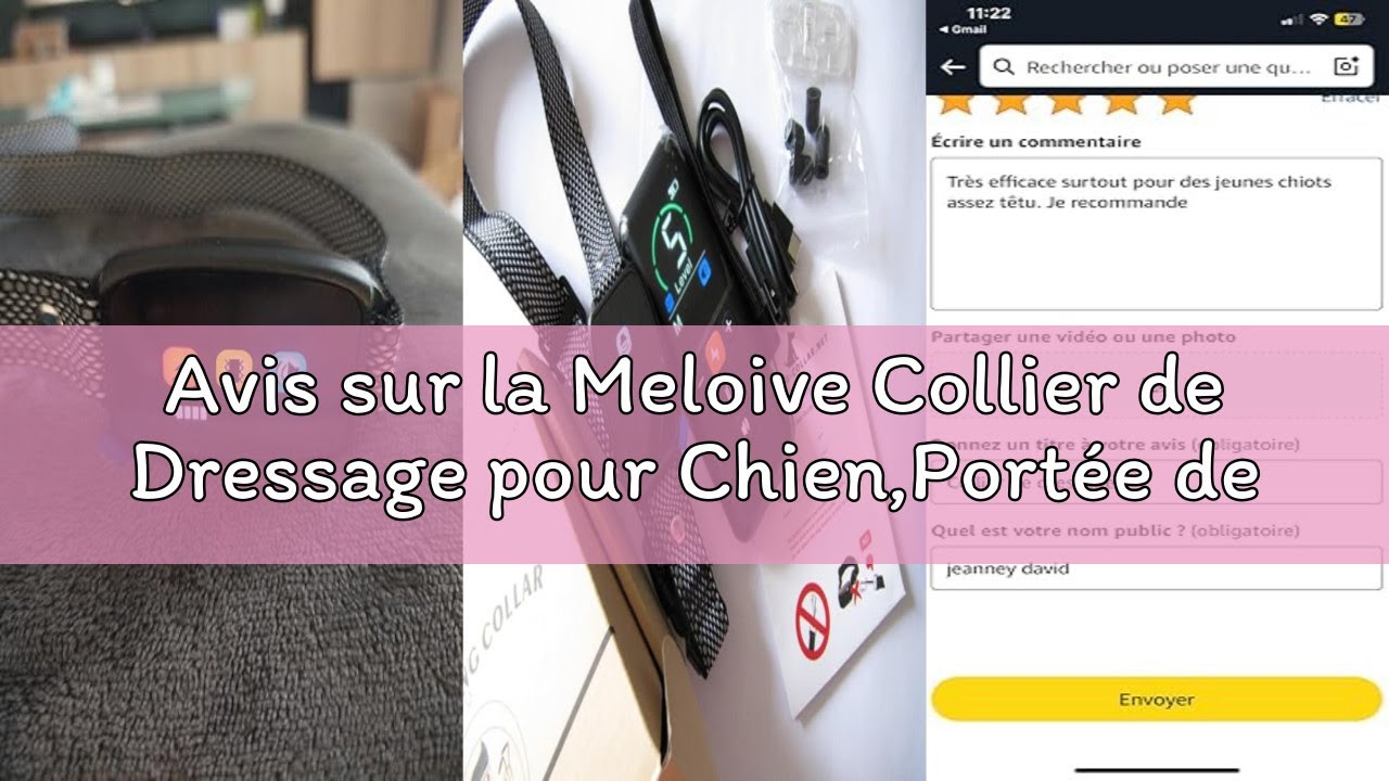 Avis sur la Meloive Collier de Dressage pour Chien,Portée de 3000 Mètres,3 Modes Vibration/Choc Élec