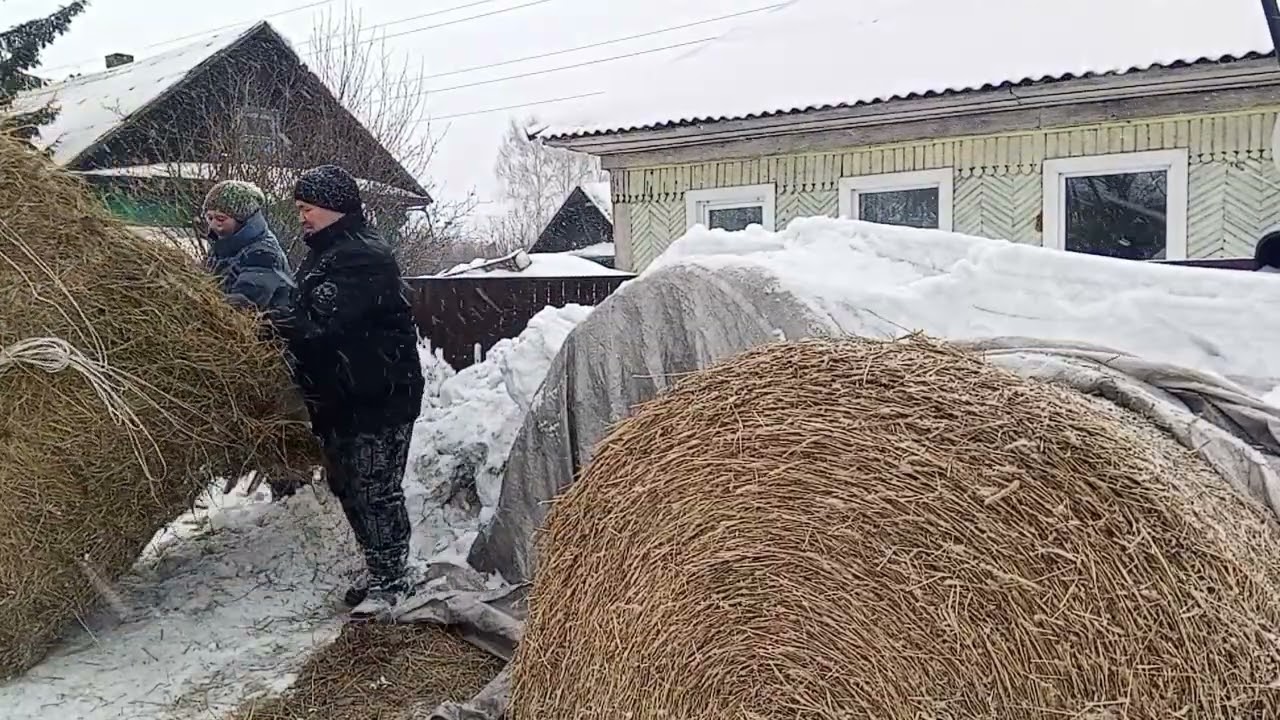 Подготовка к морозам сибирским
