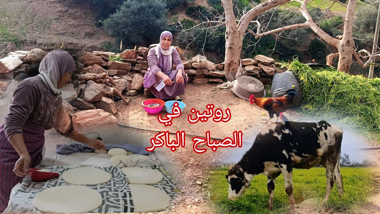 الروتينات المرأة القروية في الصباح الباكر هكذا نعيش حياتنا اليومية بسيطة معكم 🐄🐓