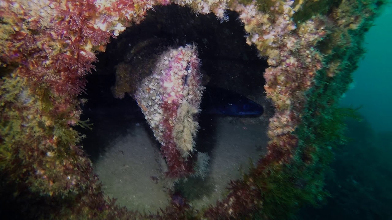 DIVING CASTRO URDIALES EMISARIO