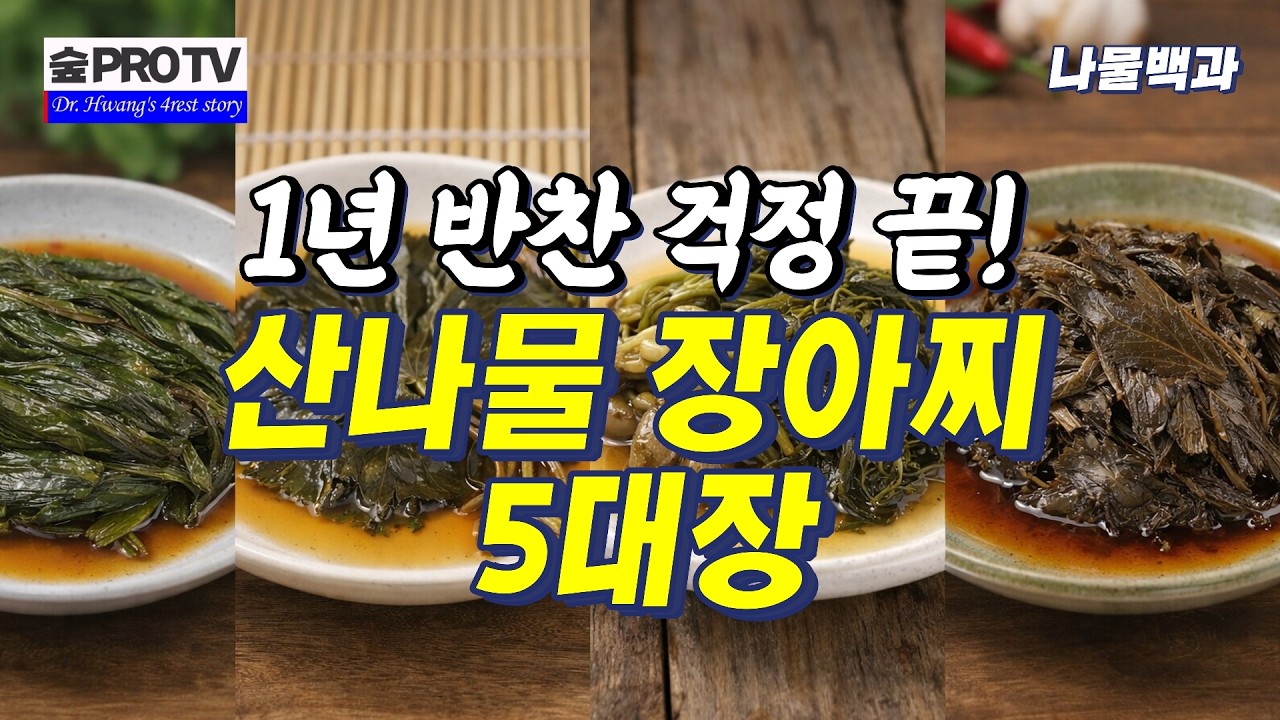 산나물 장아찌 5대장