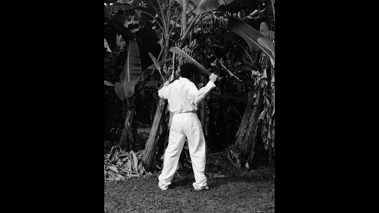 (FREE) Bad Bunny Type Beat - 