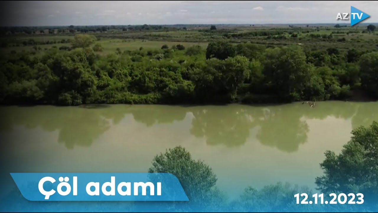 “Çöl adamı” İmişlidə dovşan ovunda I ÇÖL ADAMI – 12.11.2023