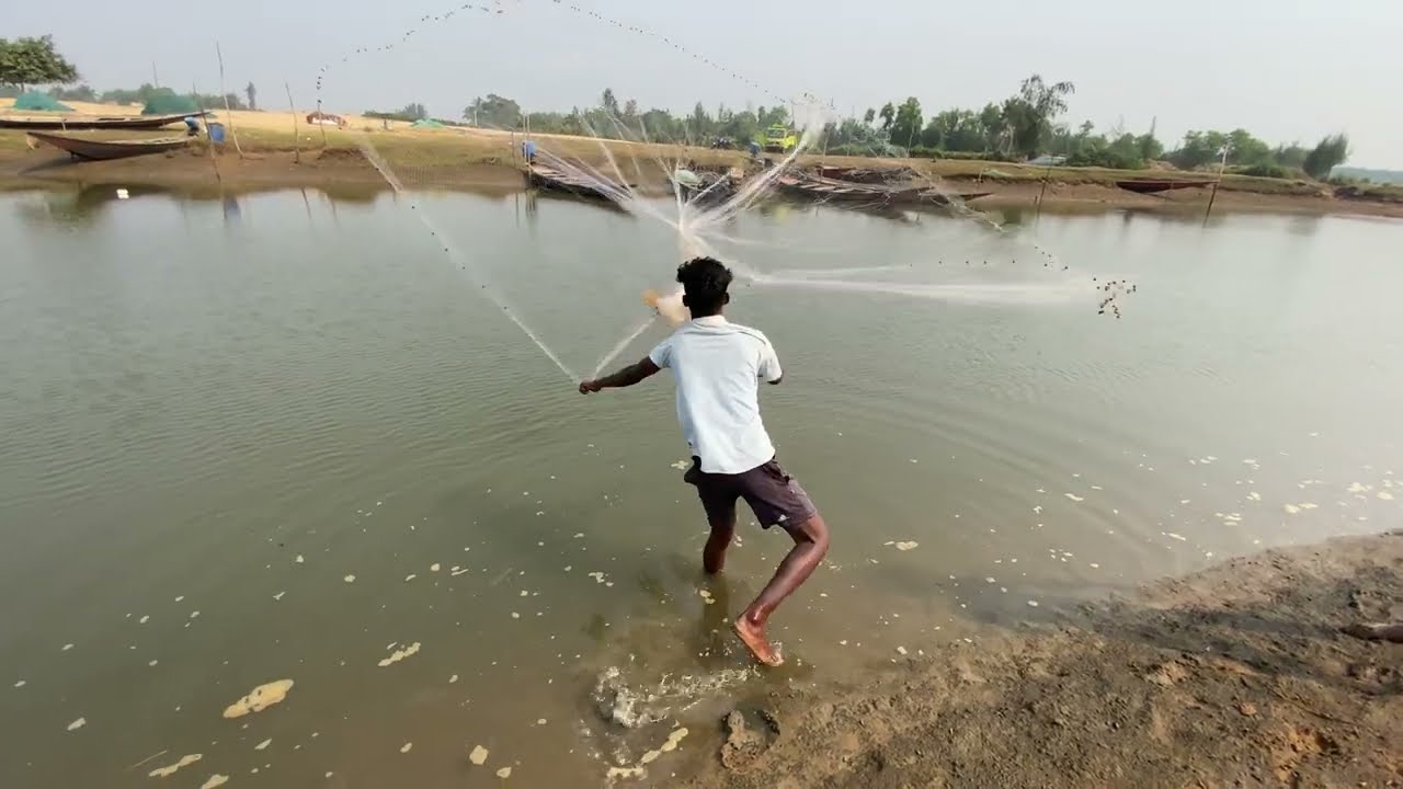 tha big fish in fish village fishing viral net video traditional fishing man 