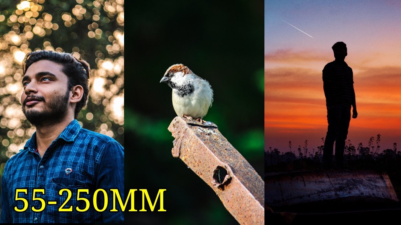 5 REASONS TO BUY CANON 55-250MM | CANON 55-250MM