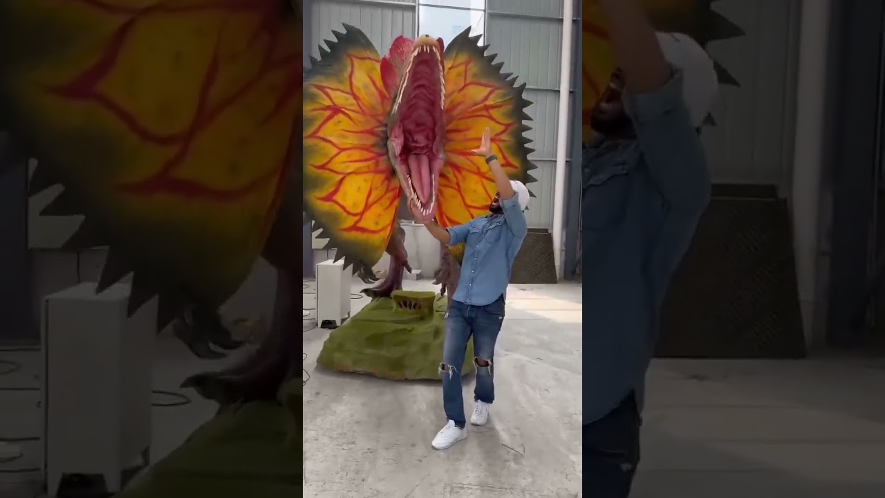 Come and see how our dragon trainers train dinosaurs #dinosaur #dilophosaurus #animatronicdinosaur
