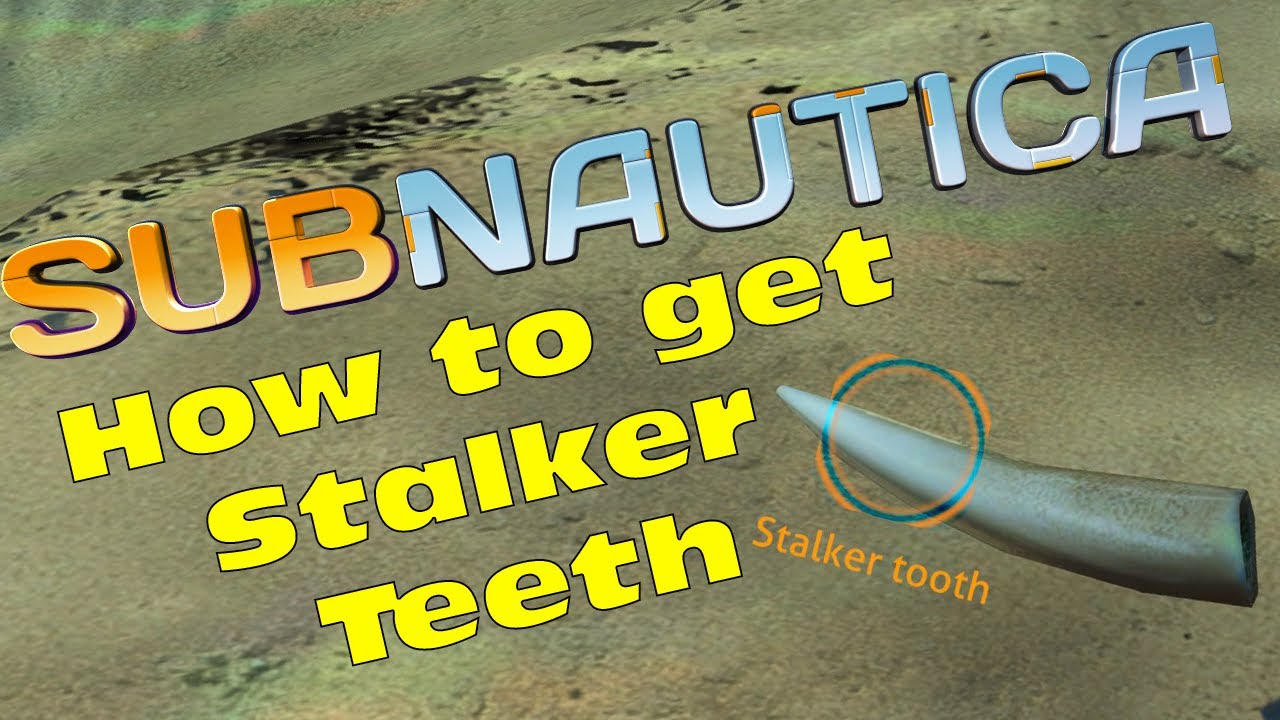 Subnautica: Stalker Teeth Locations Revealed!