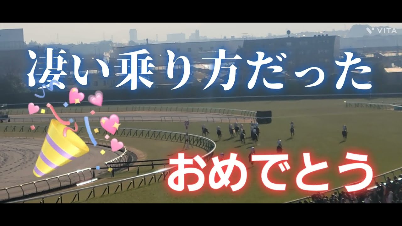 スティンガーグラス(牡5)がダイヤモンドステークス(GⅢ)を優勝❗パドック、レースの様子
