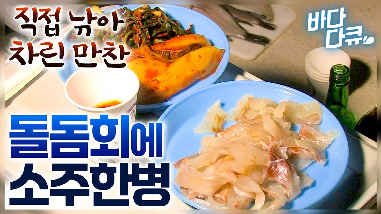 돌돔, 참돔, 복어 우리나라 귀한 생선은 다 낚이는 추자군도 / 직접 낚아 차려먹는 특별한 맛 / 돌돔회에 소주 한 병 / #바다다큐