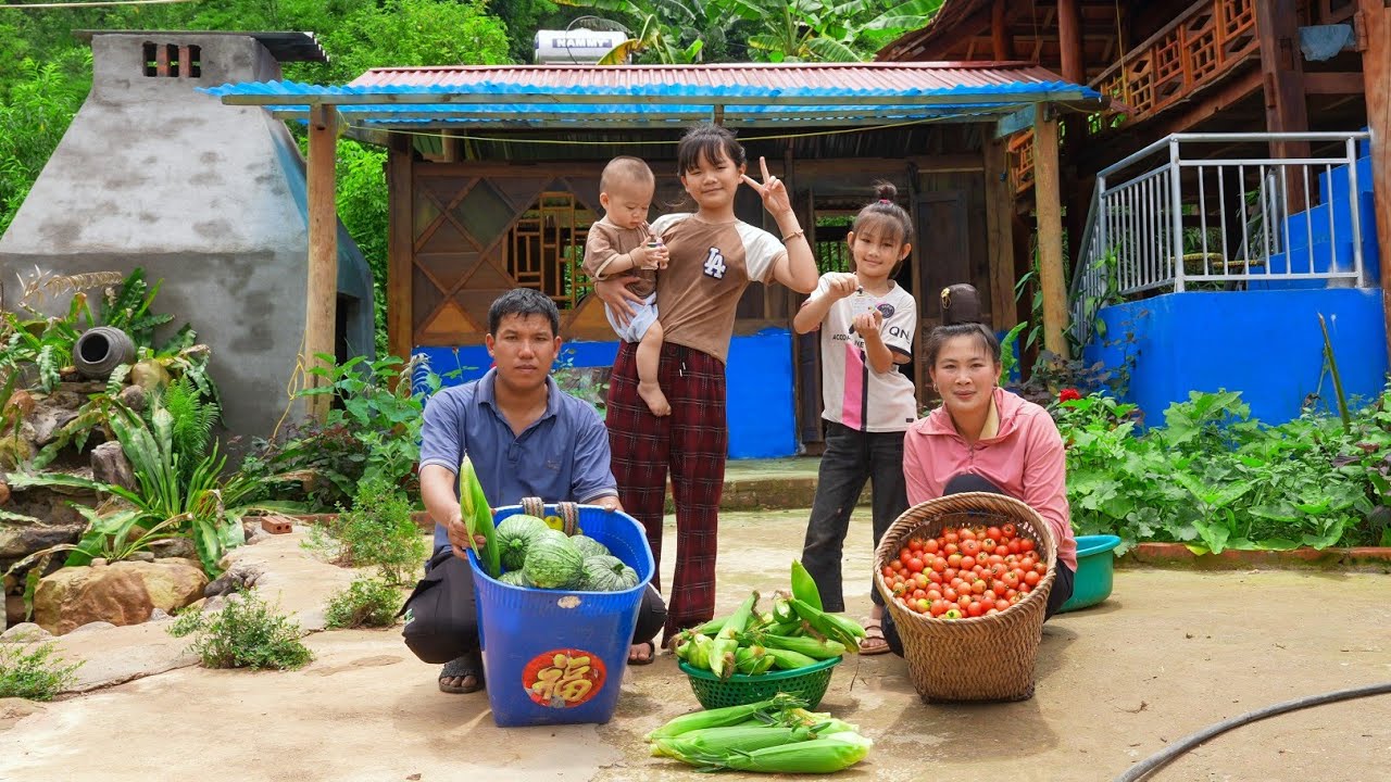 Harvesting Corn and Tomatoes to Sell at Market, Dinner with Family | Family Farm