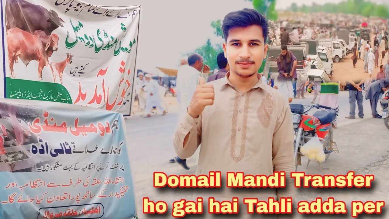 Domail mandi transfer ho gai hai Tahli adda دومیل منڈی ٹرانسفر ہو گئی ہے ٹالی اڈے پر