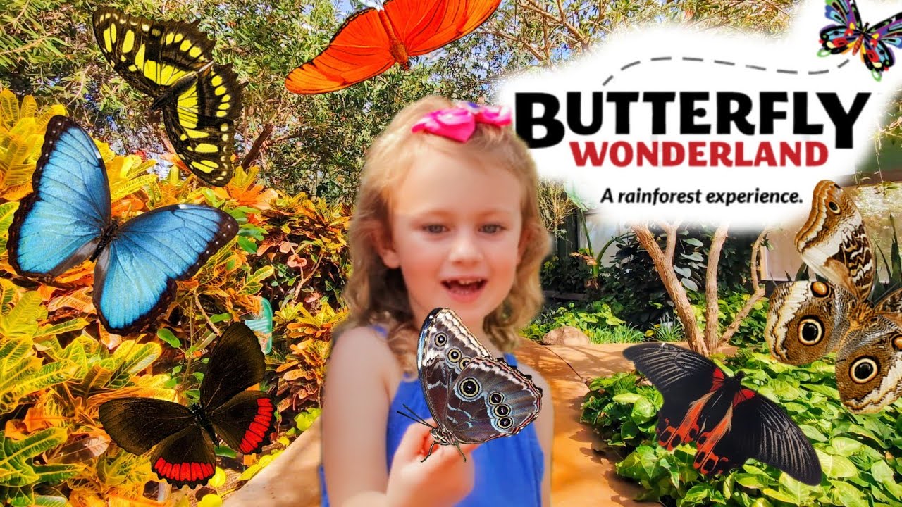 3,000+ Butterflies in LARGEST Conservatory in America! | Butterfly Wonderland Walking Tour (4K)