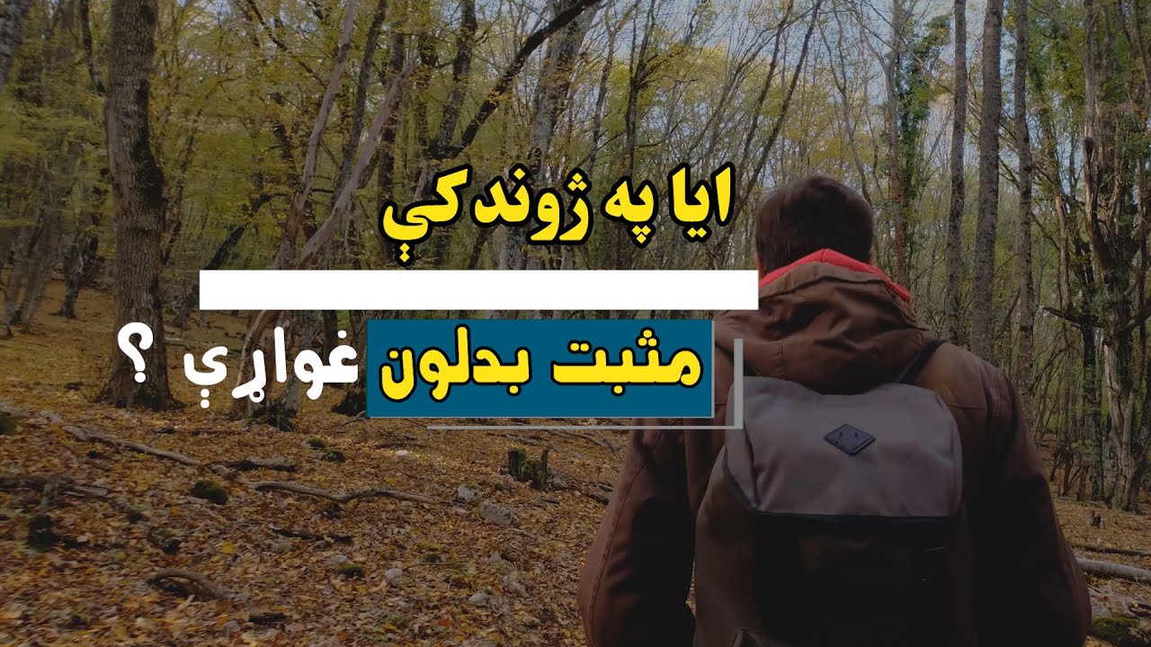 ایا د ژوند مسير درنه ورک شوی دی ؟