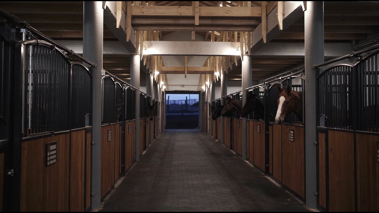 Welcome to Sentio Equestrian!