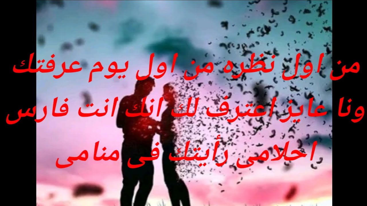 من اول نظره من اول يوم عرفتك وانا عايز اعترف لك انك فارس احلام رأيتك فى منامى من قبل أن اراك حقيقه
