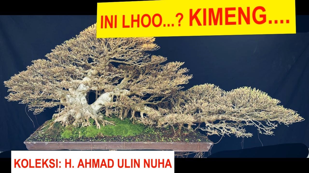 # 105 INI BARU KIMENG.... KOLEKSI: H. AHMAD ULIN NUHA.
