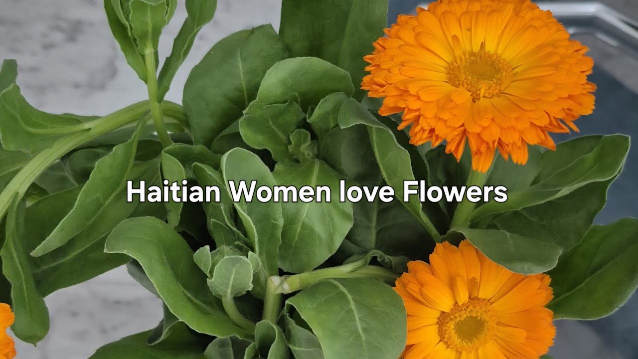 Women's who loves Flowers 💐 😍 