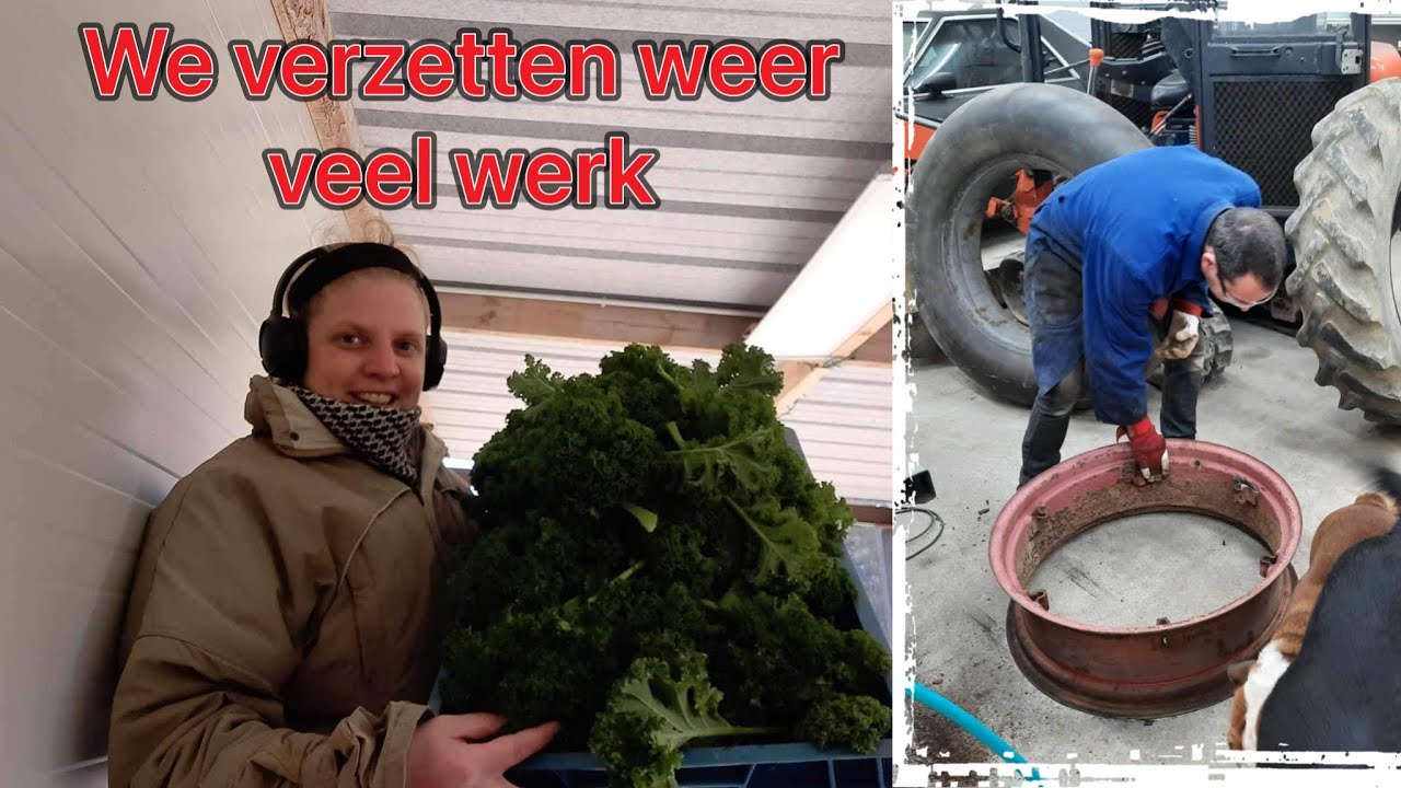Lassen - Oogsten - Winter werkzaamheden | wonen in Hongarije #35