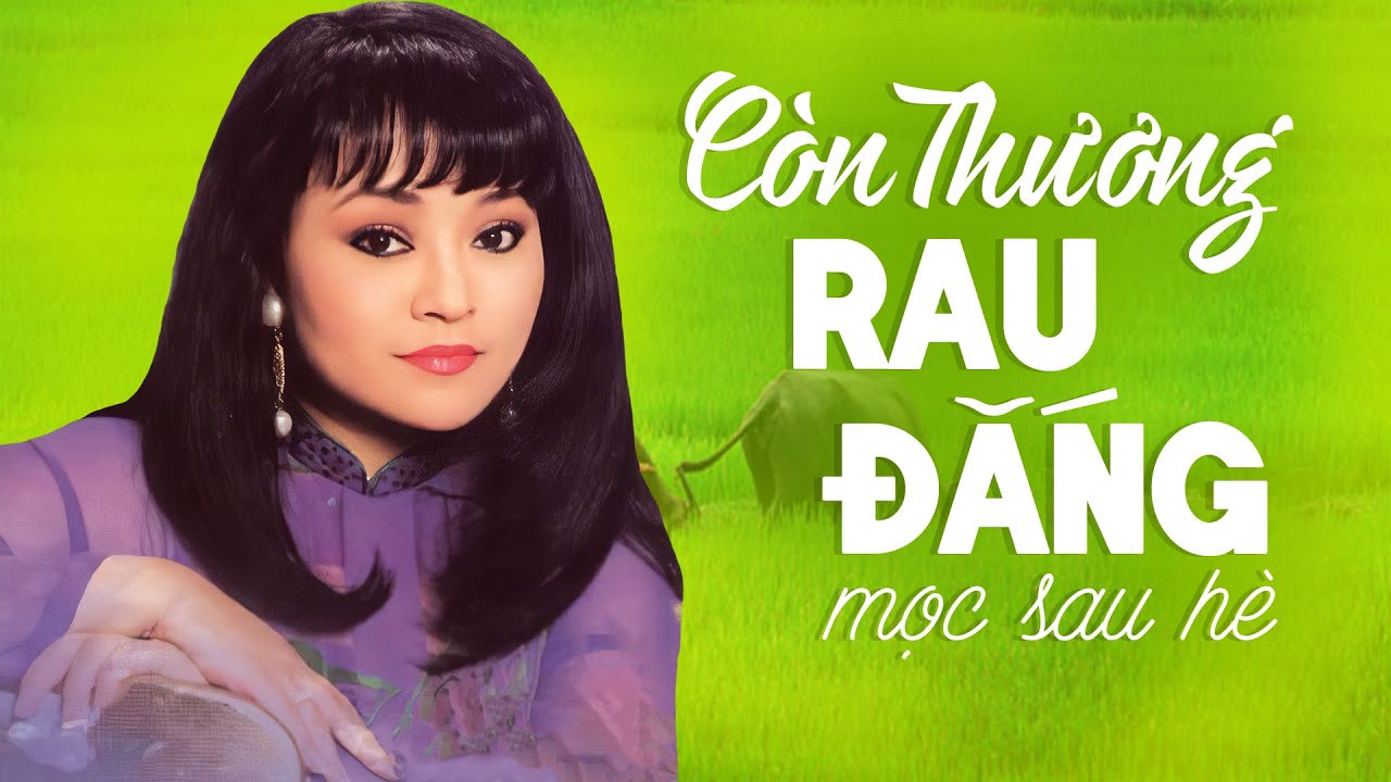 Li&ecirc;n Kh&uacute;c C&ograve;n Thương Rau Đắng Mọc Sau H&egrave;, B&ocirc;ng B&iacute; V&agrave;ng | Giọng Ca V&agrave;ng Danh Ca Hương Lan